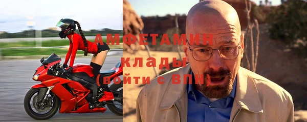 ГАЛЛЮЦИНОГЕННЫЕ ГРИБЫ Инсар