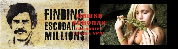 ГАЛЛЮЦИНОГЕННЫЕ ГРИБЫ Инсар