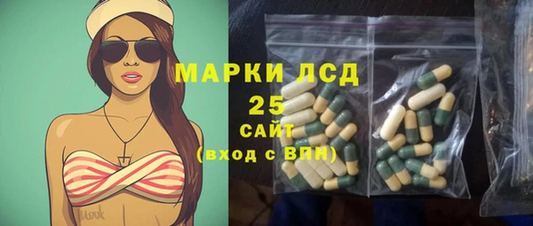 ГАЛЛЮЦИНОГЕННЫЕ ГРИБЫ Инсар