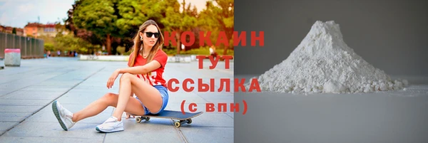 ГАЛЛЮЦИНОГЕННЫЕ ГРИБЫ Инсар