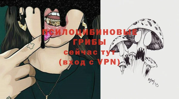 ГАЛЛЮЦИНОГЕННЫЕ ГРИБЫ Инсар