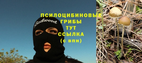 каннабис Инта