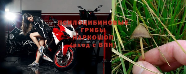 каннабис Инта