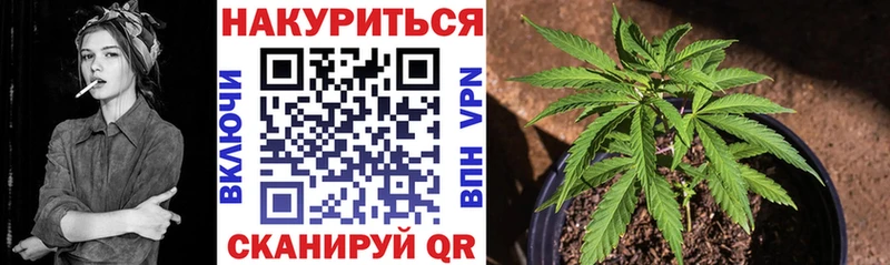 Бошки Шишки MAZAR  Купить закладки  Гуково 